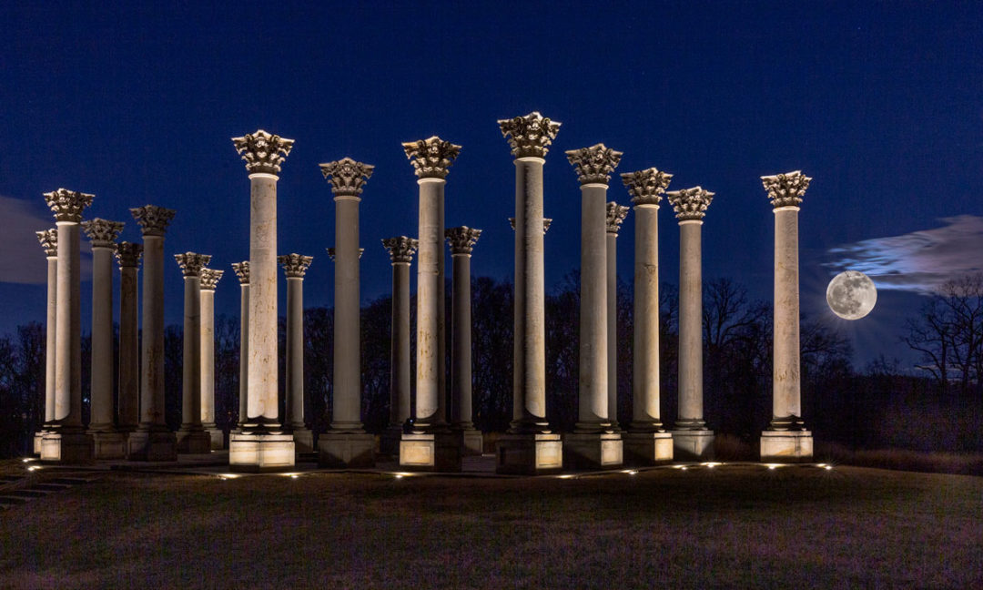 Moonrise National Arboretum