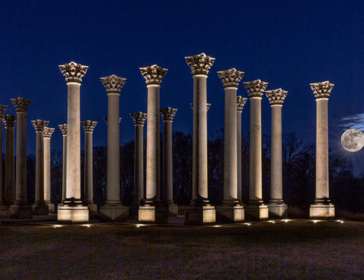 Moonrise National Arboretum